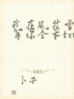 我在风花雪月里等你全本txt下载