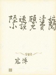 陆远顾清婉全本小说免费阅读