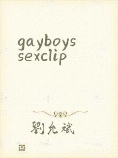 gayboyssexclip