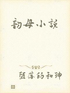韵母小说