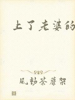上了老婆的姐姐封面