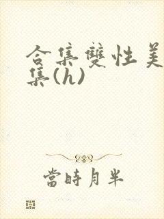 合集双性美人合集(h)封面