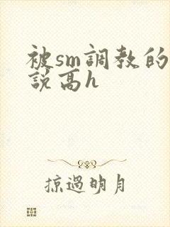 被sm调教的小说高h