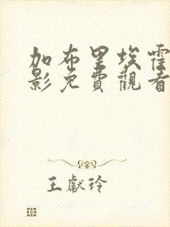 加布里埃霍尔电影免费观看