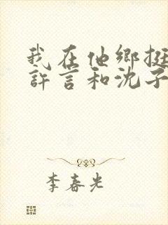 我在他乡挺好的许言和沈子畅结局