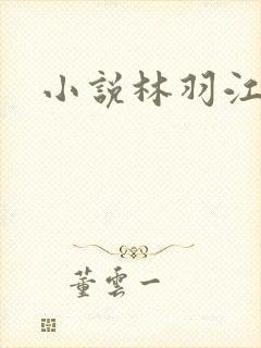 小说林羽江颜