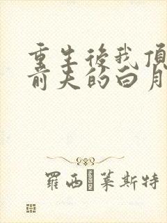 重生后我顶替了前夫的白月光