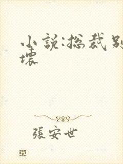 小说:总裁别太坏