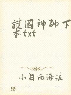 护国神帅下载全本txt