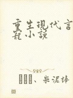 重生现代言情甜宠小说封面