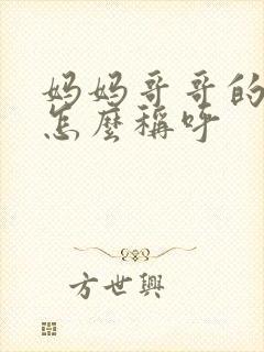 妈妈哥哥的老婆怎么称呼封面