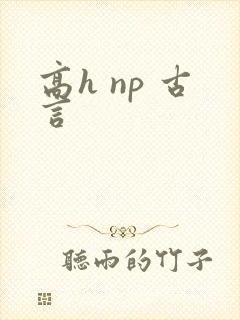 高h np 古言