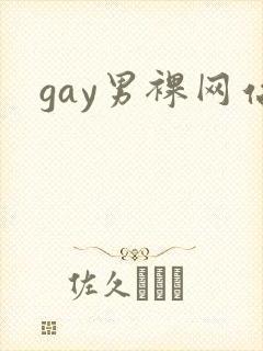 gay男裸网站