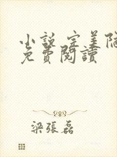 小说 完美隐婚免费阅读封面