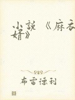 小说 《麻衣神婿》封面