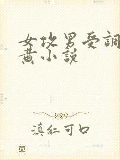 女攻男受调教高黄小说