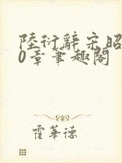 陆衍辞宋昭意20章笔趣阁