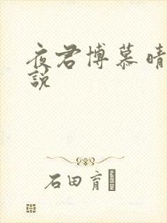 夜君博慕晴的小说