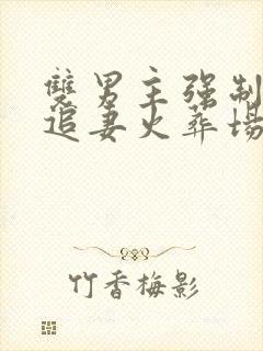 双男主强制生子追妻火葬场文封面