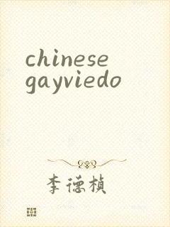 chinesegayviedo封面