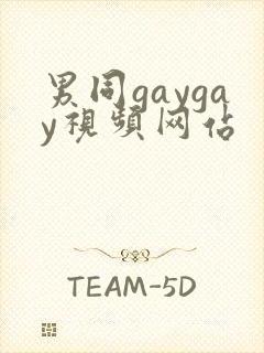 男同gaygay视频网站