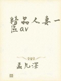 精品人妻一区二区av