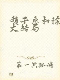 赵子惠和徐天的大结局封面