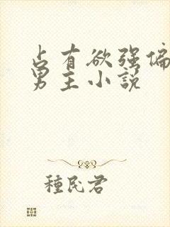 占有欲强偏执双男主小说