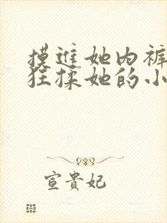 摸进她内裤里疯狂揉她的小说