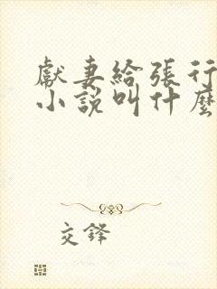 献妻给张行原著小说叫什么名字