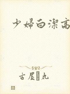 少妇白洁高义传