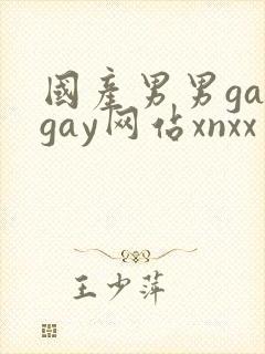 国产男男gaygay网站xnxx封面