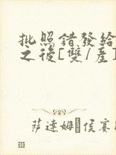 批照错发给情敌之后[双/产]