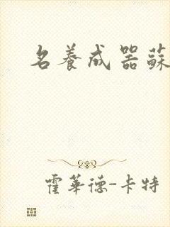 名养成器苏沫沫
