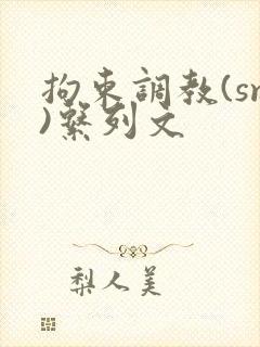 拘束调教(sm)系列文封面