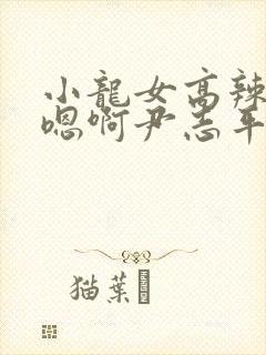 小龙女高辣h文嗯啊尹志平