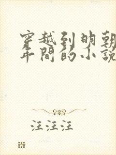 穿越到明朝洪武年间的小说