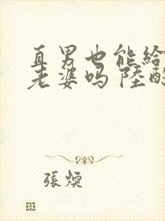 直男也能给人当老婆吗 陆酌言 小说