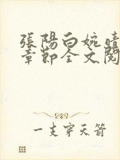 张阳白婉晴小说章节全文阅读封面