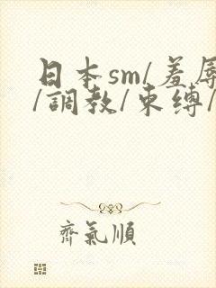 日本sm/羞辱/调教/束缚/捆绑封面