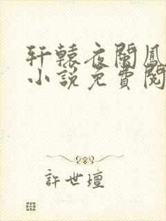 轩辕夜阑凤云倾小说免费阅读笔趣阁