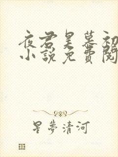 夜君昊慕初晨的小说免费阅读