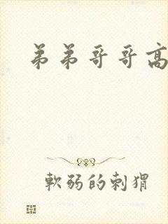 弟弟哥哥高h封面