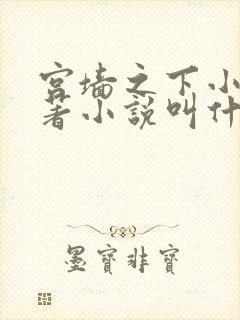 宫墙之下小说原著小说叫什么名字