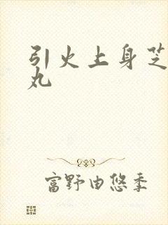 引火上身芝麻糖丸封面