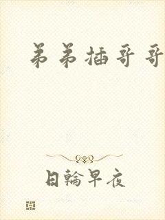 弟弟插哥哥小说