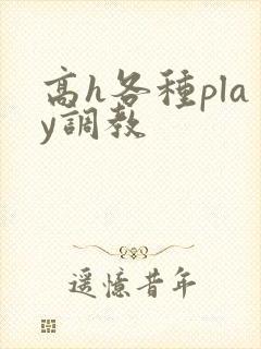 高h各种play调教