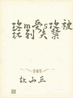 攻m受s攻被受玩到失禁封面
