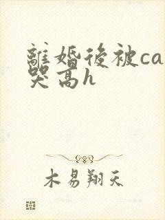离婚后被cao哭高h