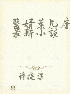 医婿叶凡唐若雪最新小说